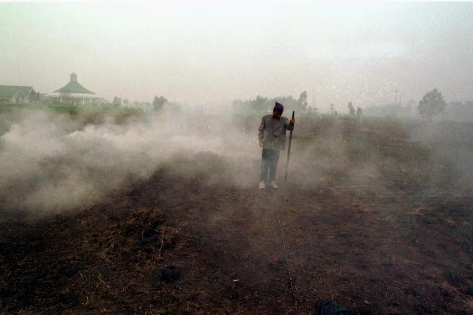 Haze comes from the burning of peat and other vegetation in Indonesia, where fire is used to clear land for agricultural use or to get rid of agricultural waste.