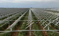 The policy is meant to cut emissions and improve the uptake of renewable power