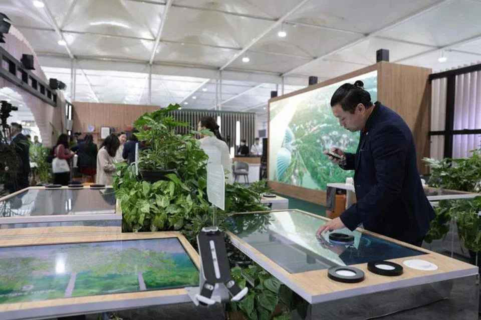 Singapore launched its inaugural pavilion at the United Nations COP27 climate conference on Nov 6, 2022. 