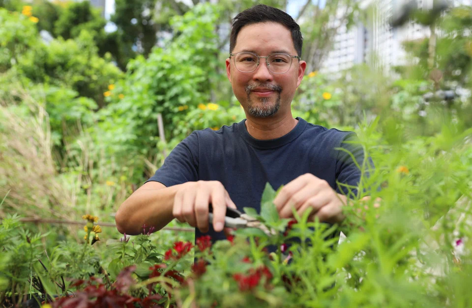 Bjorn Low, chief urban farmer and co-founder of Edible Garden City, helped legitimise urban agriculture in Singapore.