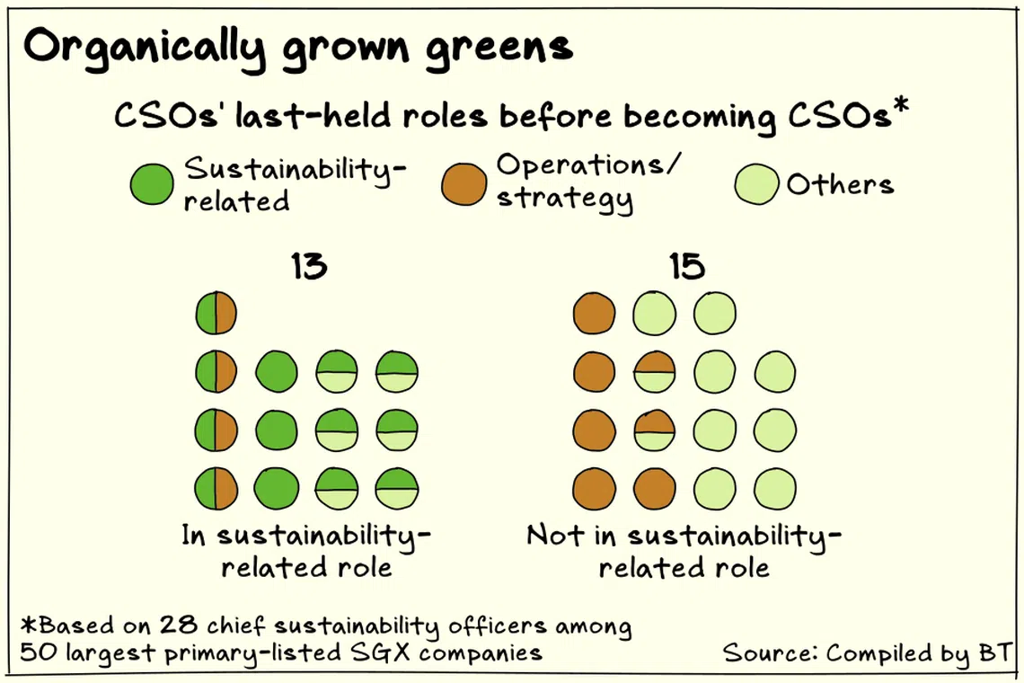 Prior experience in sustainability or in operations and strategy appear to be equally common among the chief sustainability officers of Singapore’s largest listed companies.