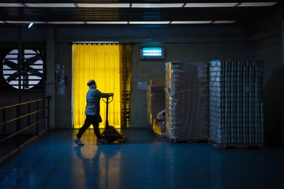 While factories in Asia’s north bore the brunt of the economic pain, those in the south presented a mixed picture. 