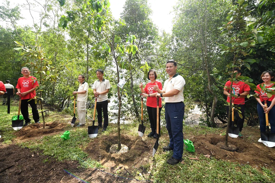 From left: Professor Leo Tan, chairman of Garden City Fund; Kenneth Er, chief executive of NParks; Helen Wong, group CEO of OCBC; and Desmond Lee, Minister for National Development & Minister-in-charge of Social Services Integration at Sungei Durian on Pulau Ubin.