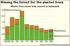 Most of Indonesia’s tree cover loss still comes from natural forests even though the rate of deforestation has come down.