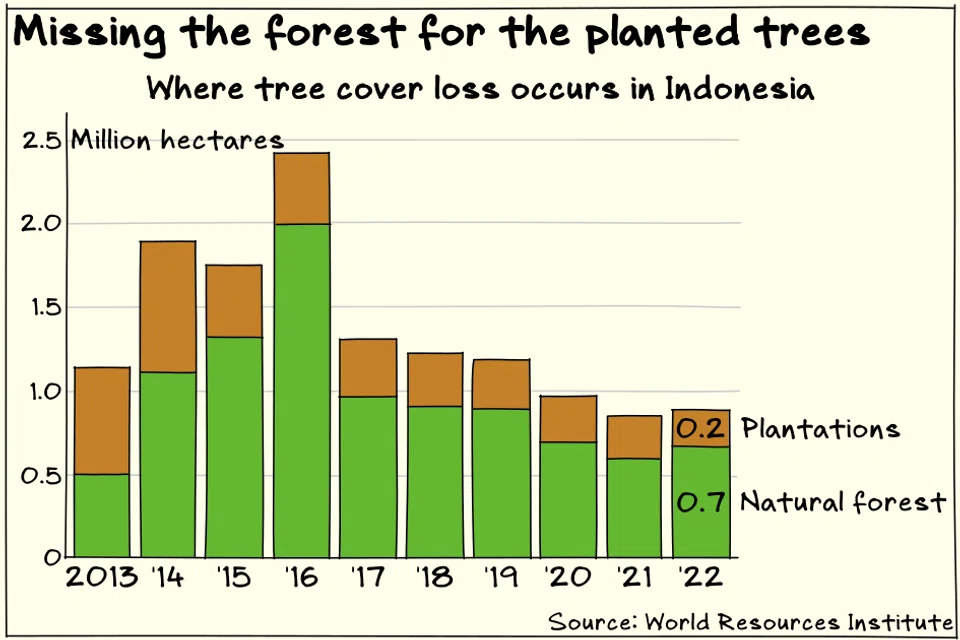 Most of Indonesia’s tree cover loss still comes from natural forests even though the rate of deforestation has come down.