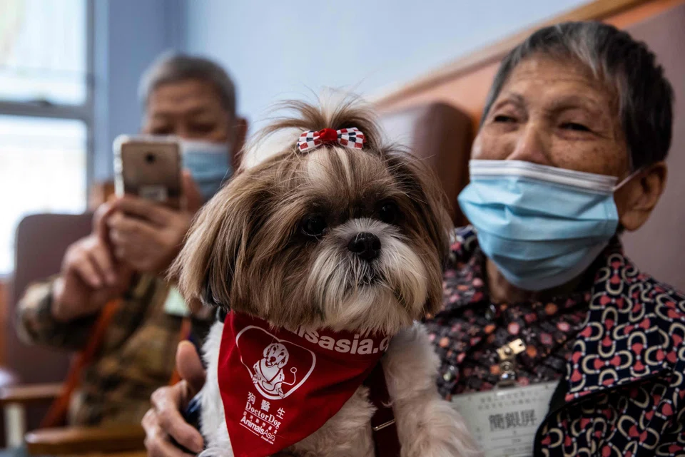 A therapy dog visiting people at an elderly daycare centre in Hong Kong. Hong Kong is forecast to become the world's oldest city by 2050, according to the United Nations.
