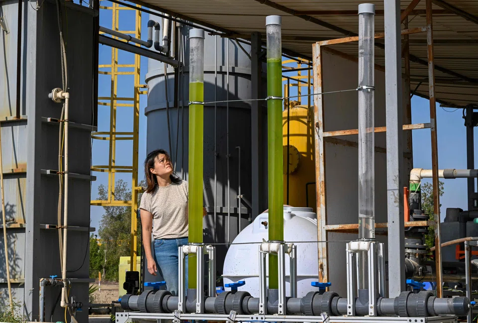 Peiying Hong, a professor in environmental science and engineering at the King Abdullah University of Science and Technology (above) at a wastewater treatment plant developed by the university in the desert near Jeddah on Saudi Arabia's Red Sea coast in November. 
