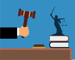 Lawyers are to provide clients with effective legal representation, which often means they have to grapple with novel issues by coming up with arguments previously not advanced.