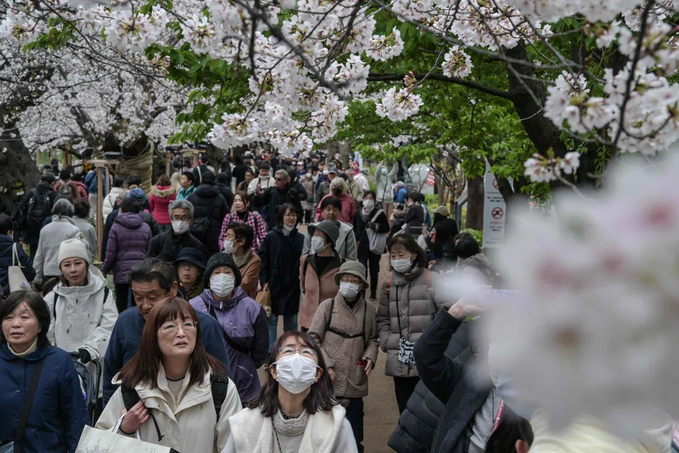 Despite rising prices and recent wet weather in Tokyo, cherry blossom viewing remains a major economic event. 