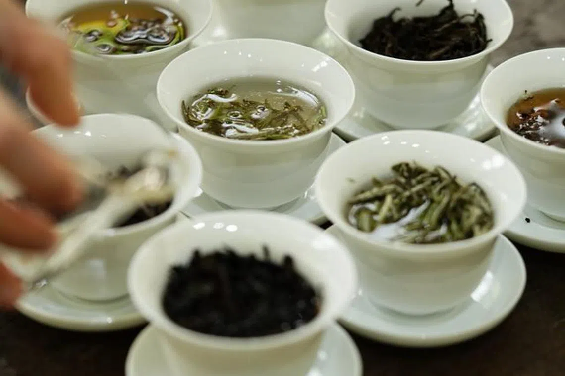 Inner Teahouse sources its teas directly from farmers in Fujian's renowned tea-producing regions.