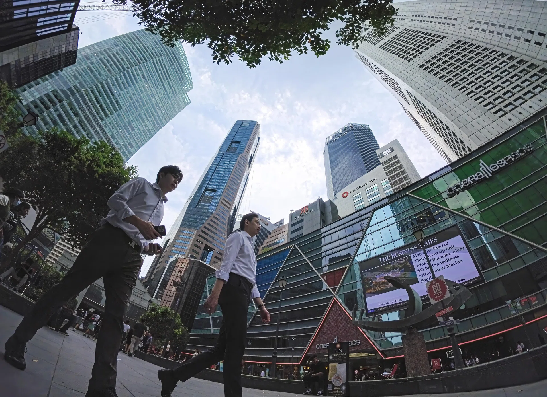 MOM’s surveys find that the share of firms expecting to hire and increase wages over the next three months has risen