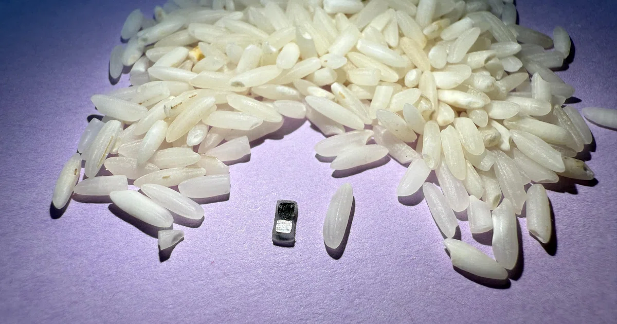 World's tiniest pacemaker is smaller than grain of rice - The Business ...