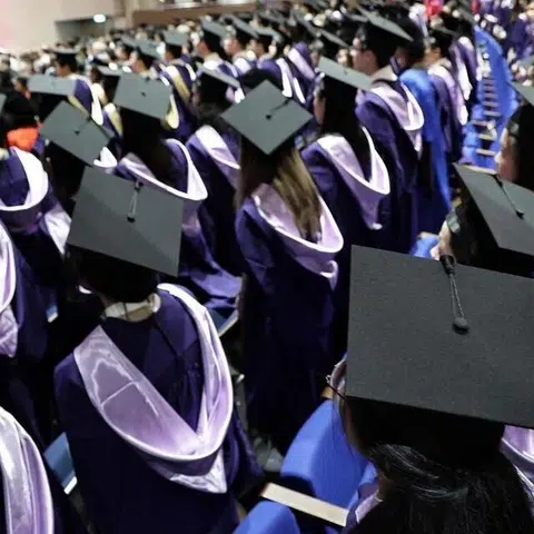 Fewer fresh graduates in 2025 found full-time work