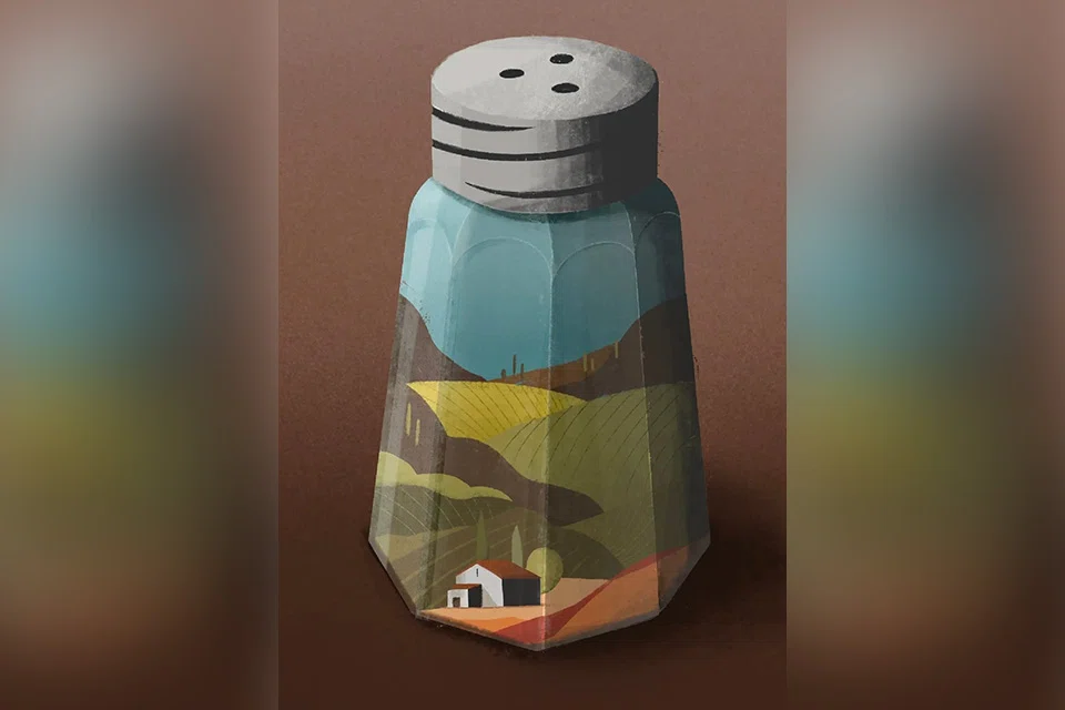 At Wine School, we may come to the wines with certain questions in mind, like whether these Mâconnais wines speak more of the grape, chardonnay, or the place, the Mâcon region of southern Burgundy. 