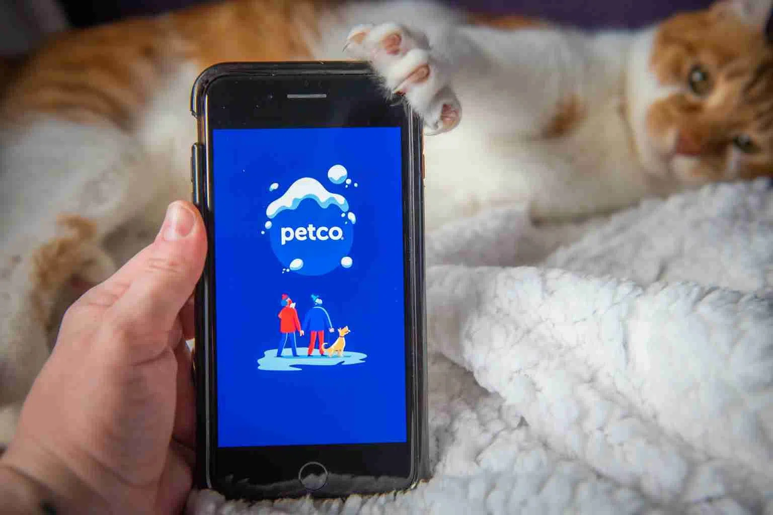 Petco IPO raises US864m as retailer returns to market