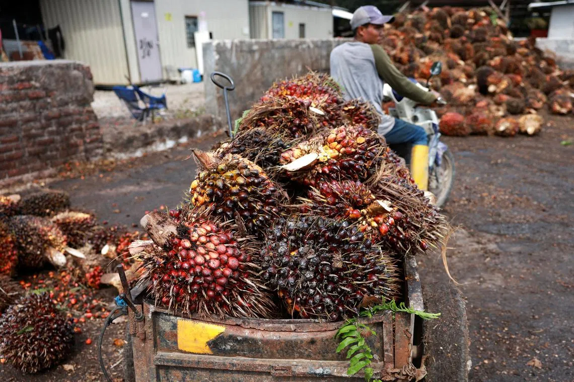 The acknowledgement reinforces MSPO’s role as Malaysia’s national framework for sustainable palm oil and highlights its contribution to global trade and responsible sourcing.