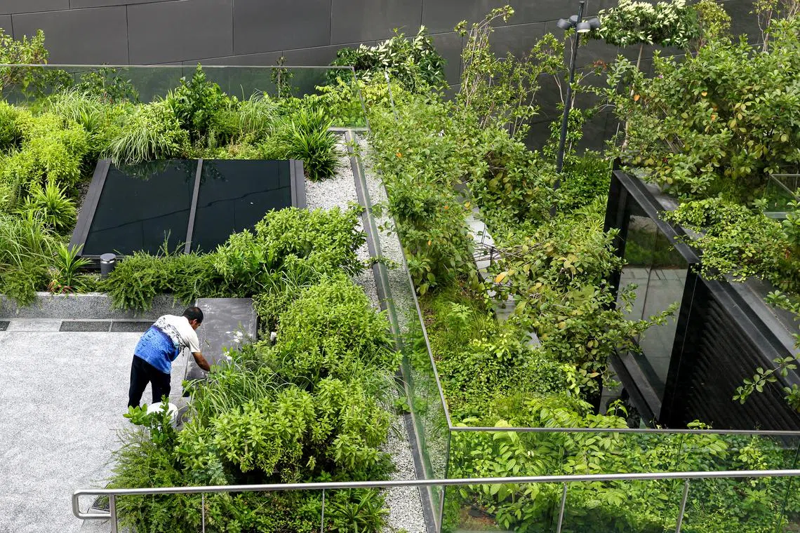 Generic photo for ESG stories pertaining to sustainability