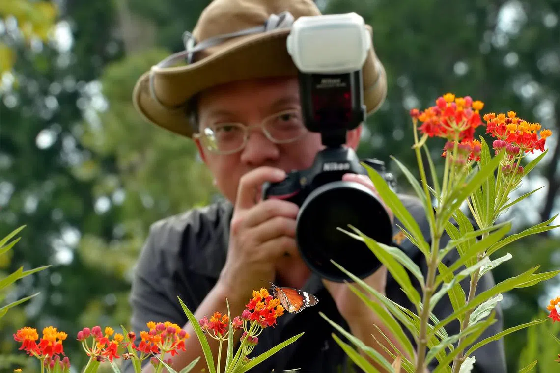 While efforts to understand butterflies are challenging, that’s “also the more interesting part", says Khew Sin Khoon.