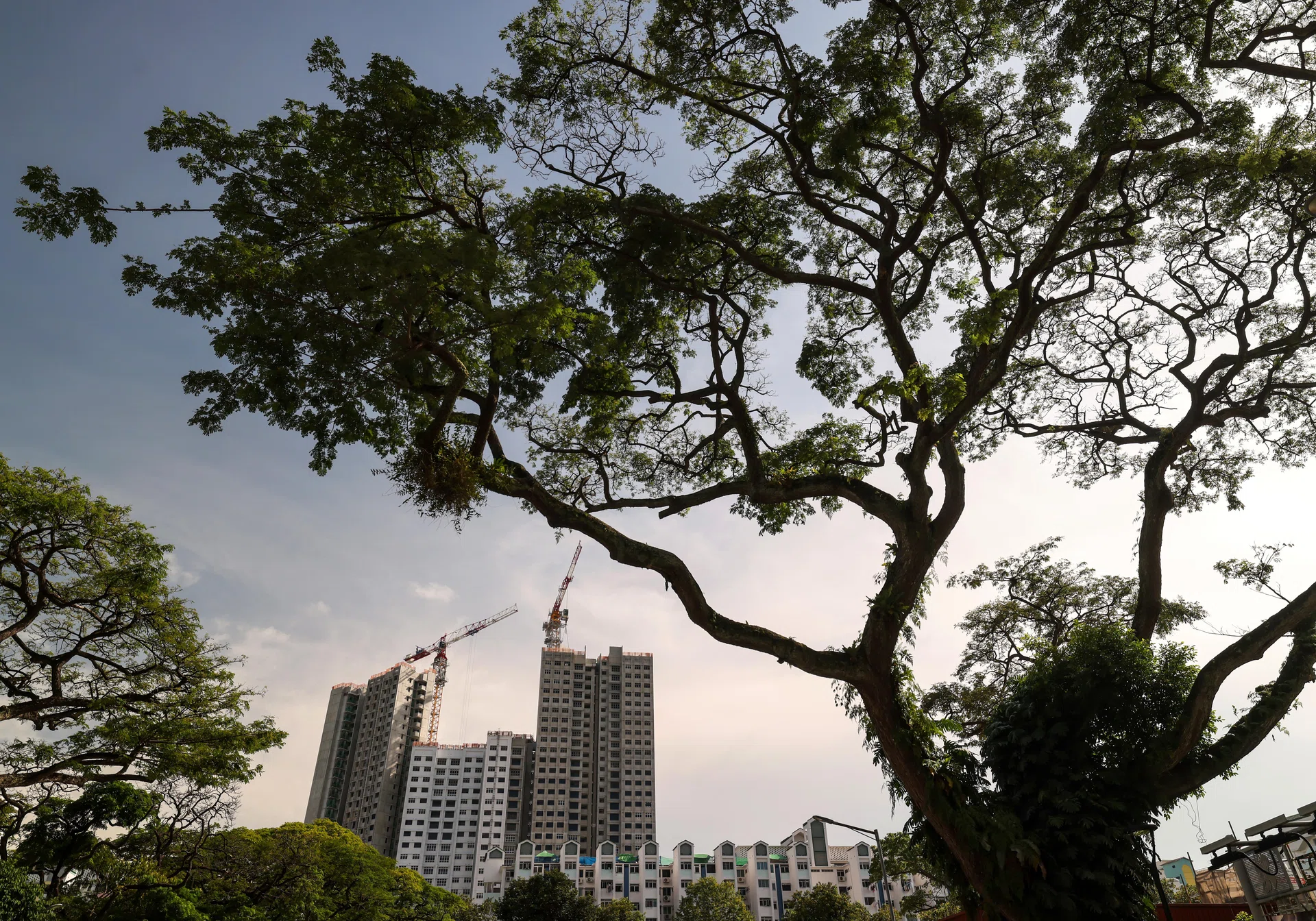 AI use in climate, sustainability could unlock US$600 billion in annual value: Temasek, BCG