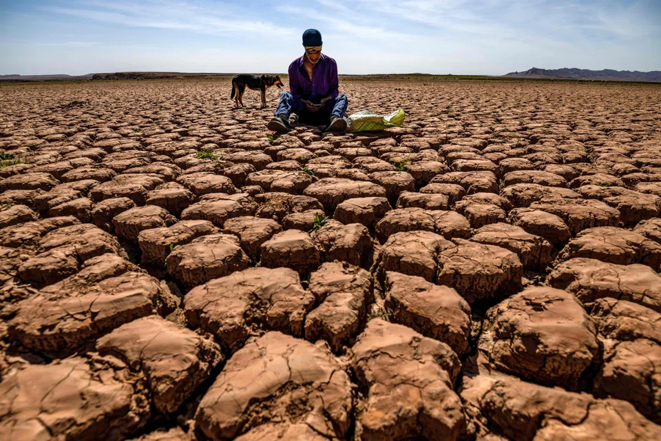 Cracked earth at al-Massira dam in Morocco. A quarter of the global population experienced drought conditions over 2022 and 2023.