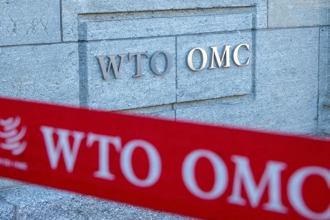 The panel will rule on whether certain tax credits under the IRA are compatible with international trade rules, the WTO says.