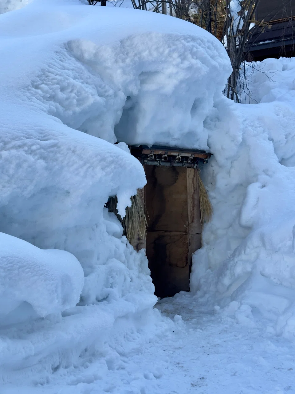 A snow-covered store room for vegetables.