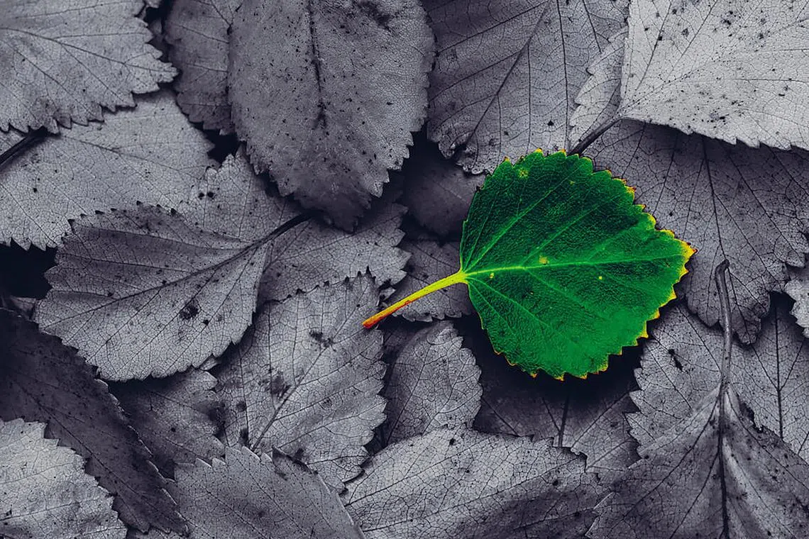 Cookie-cutter won't cut it anymore