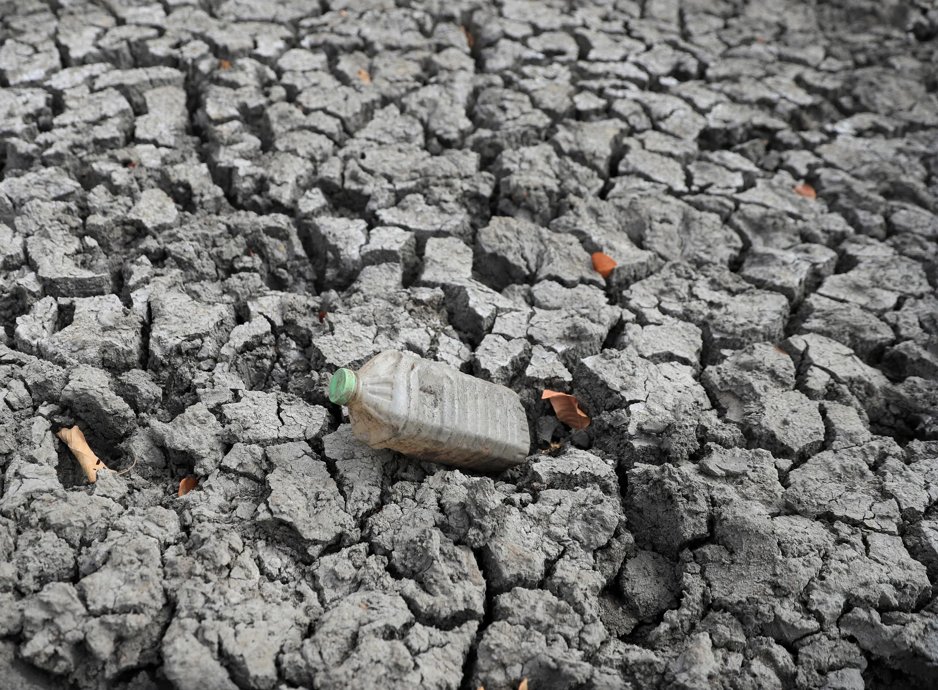 UN food agencies seek US$202 million to shield 8.8 million people from El Nino