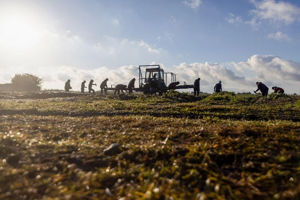 The growth of the weather market risks resurrecting an unanswered question of moral hazard: Does mitigating the financial impact of weather on corporations reduce their incentive to tackle their own contributions to man-made climate change?