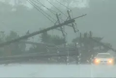 Power lines downed by the high winds from Typhoon Koinu in Taiwan's southern Pingtung County. Typhoon Koinu grazed the southern edge of Taiwan on Oct 5, blanketing the region in torrential rain.