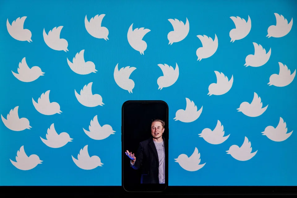 Hordes of Twitter users, and employees, have left the social media network in the wake of Elon Musk's entry and shakeup of the platform.