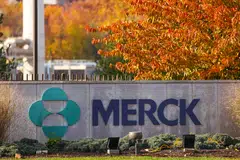 Merck is seeking opportunities through its own drug development as well as deals, chief executive officer Rob Davis says.