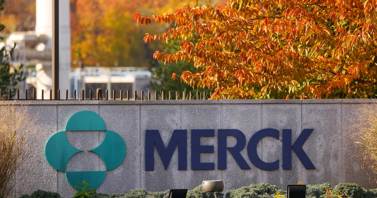 Merck looks to join the obesity drug frenzy - The Business Times