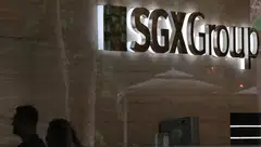 SGX requires companies to ensure that at least 10 per cent of their total number of shares are held in public hands, a rule also known as the free-float requirement.