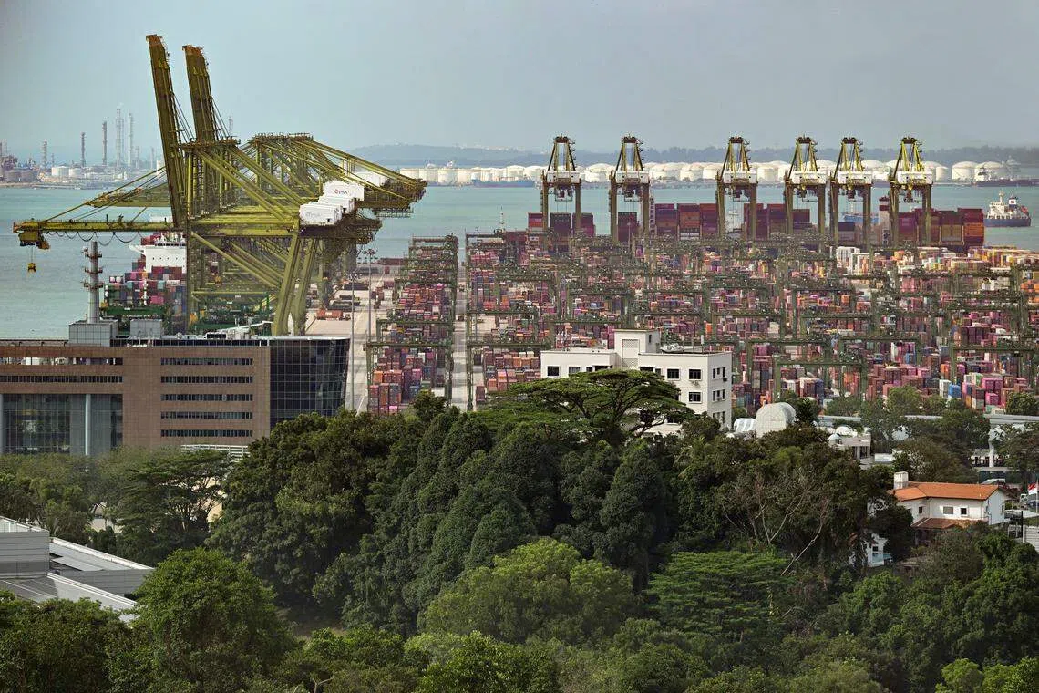 Embracing sustainable practices allows companies to mitigate risks of supply chain disruptions caused by climate change, resource scarcity and social unrest.