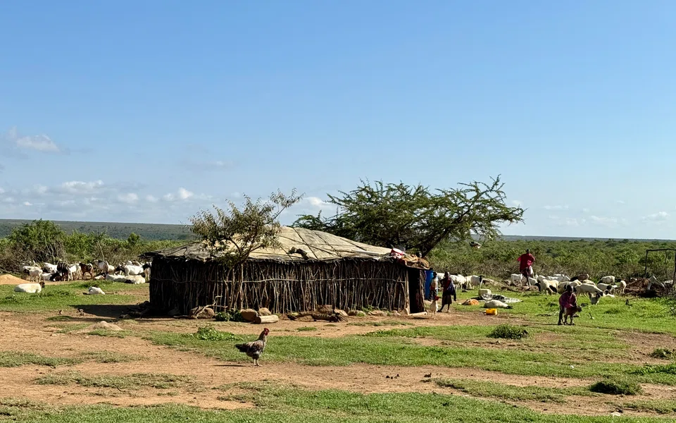 The Samburu live in thatched mud huts known as manyatta.