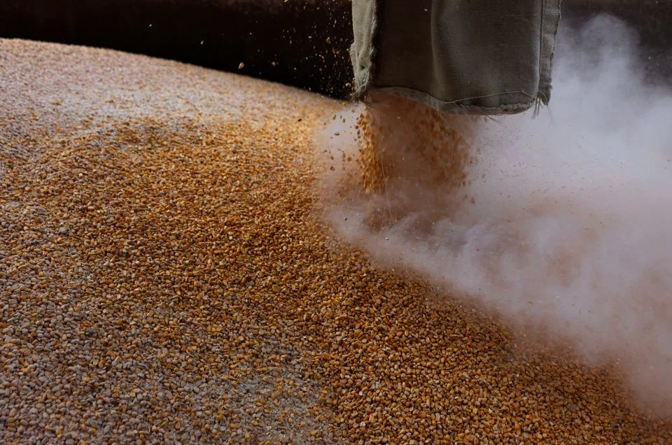 Grain being loaded on a truck at the Mlybor flour mill facility after it was shelled repeatedly, amid Russia's invasion of Ukraine.