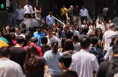 Among these companies, there is a median employee participation rate of 70% for volunteering.