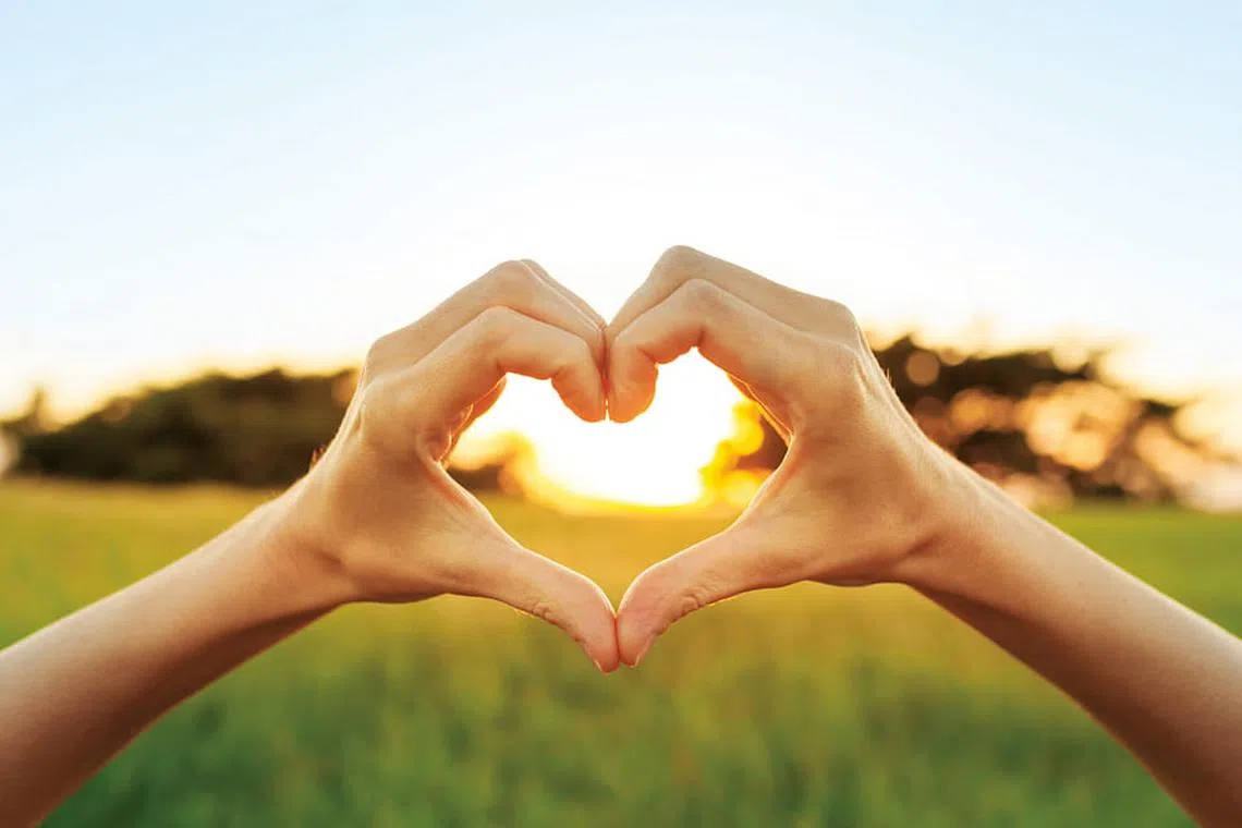 Nourishing the body inside out