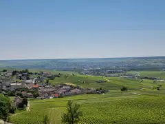 A commanding view of surrounding vineyards from the hotel Royal Champagne.