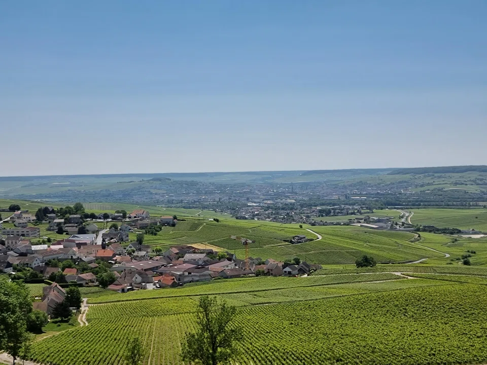 A commanding view of surrounding vineyards from the hotel Royal Champagne.