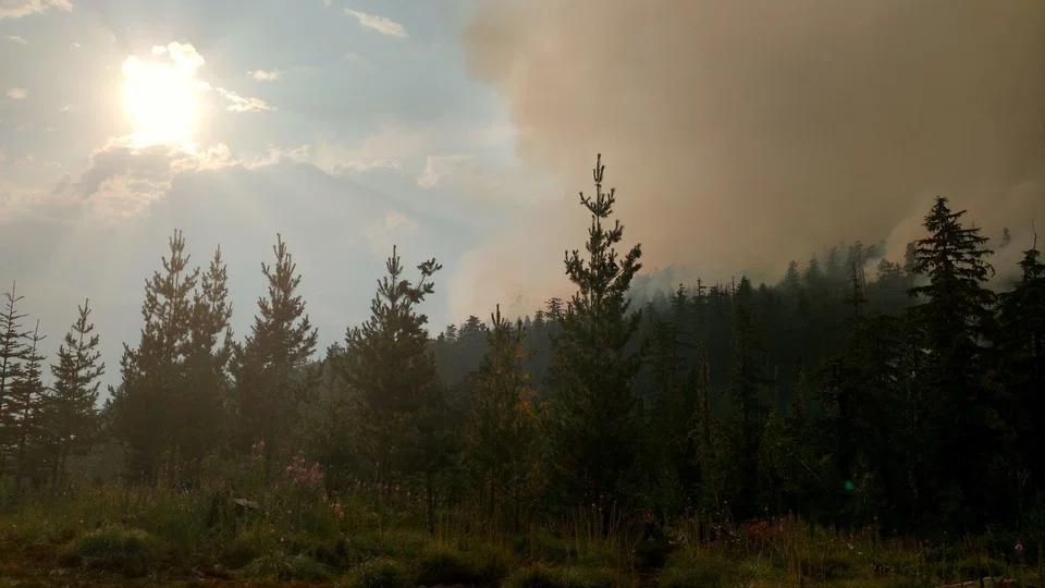 Wildfire burns in Willamette National Forest, in Oregon, US. Many federal employees do the grunt work of preventing, mitigating and fighting wildfires.