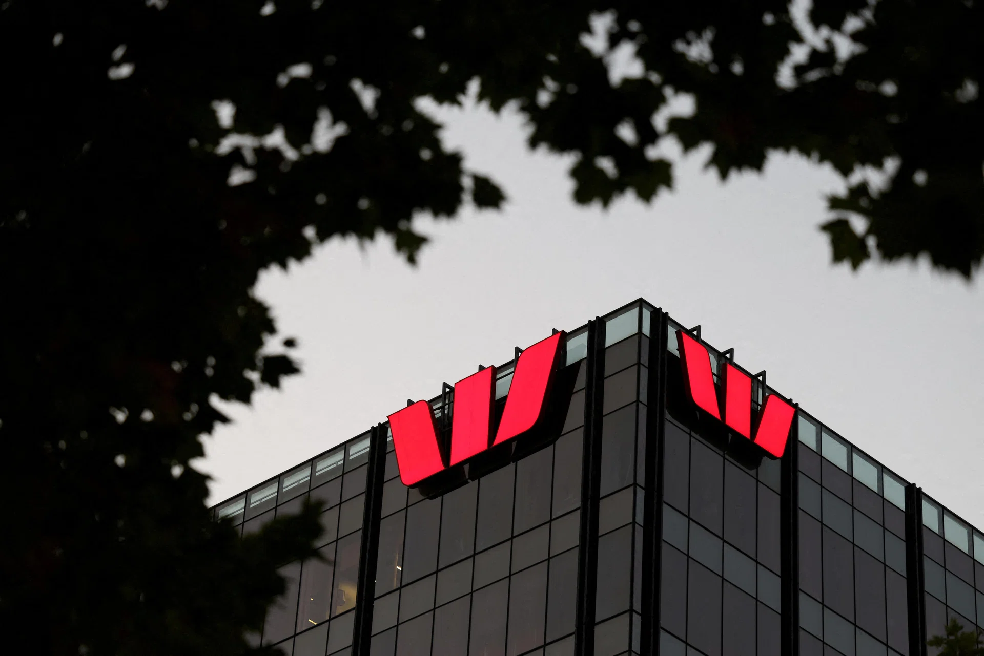 Westpac profit grows 5% on margin lift and higher lending