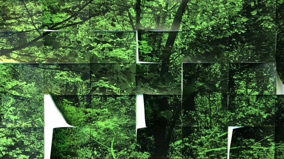 Cambodian artist Vuth Lyno's Vibrating Park-Forest paper installation.