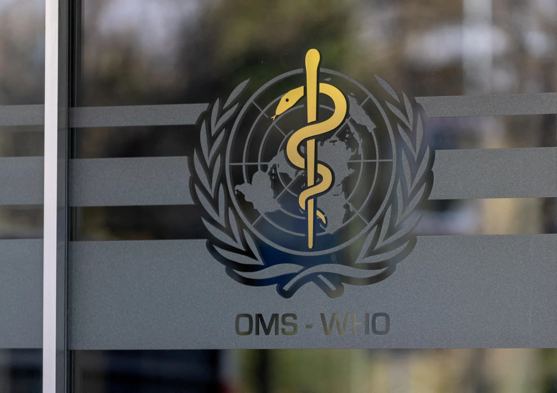 WHO cuts appeal for health emergencies by a third to US$1 billion in 2026