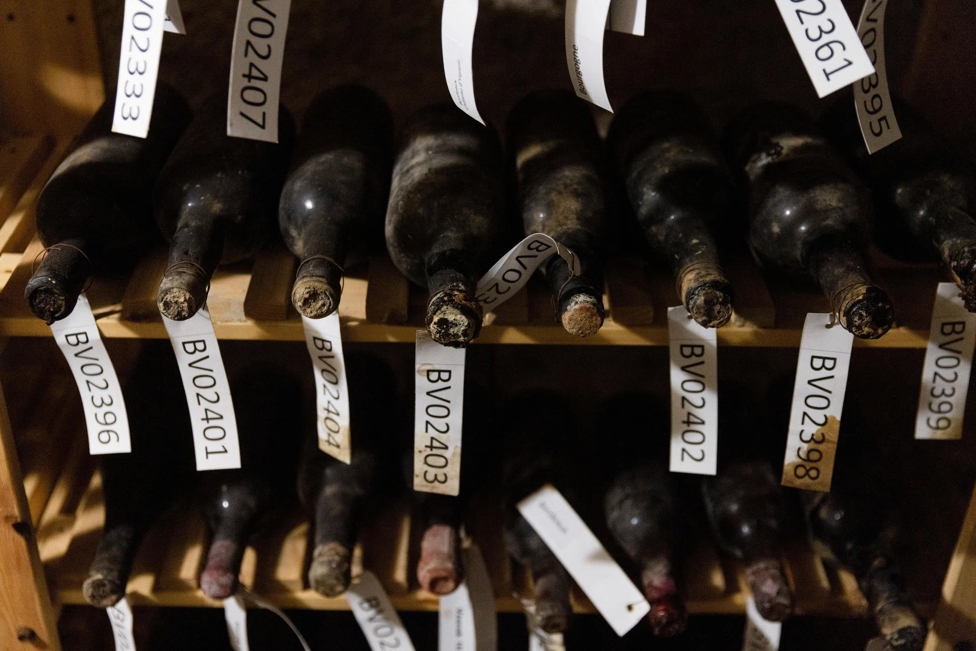 Czech castle’s cache of precious wine goes on display in new-old bottles