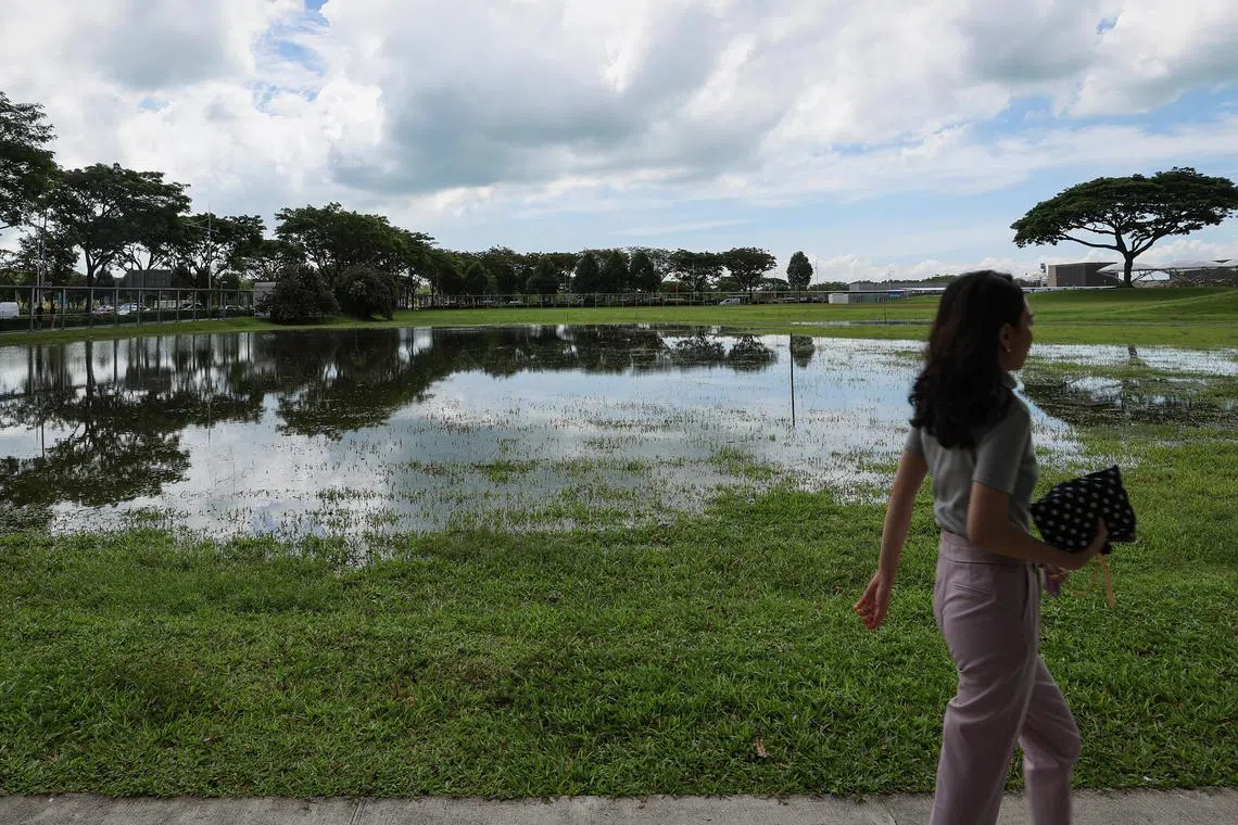 By integrating sustainability into the curriculum, Singapore can nurture a new generation of accounting graduates suited for existing and upcoming positions in sustainability.