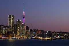 A net 67.1 per cent of respondents expected New Zealand's economy to improve over the year ahead.