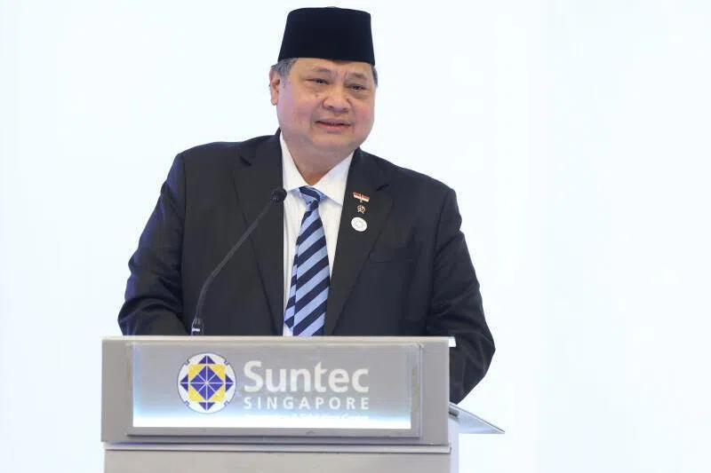 “The government has prepared mitigation measures so that ticket prices remain affordable to people,” says senior economic minister Airlangga Hartarto.