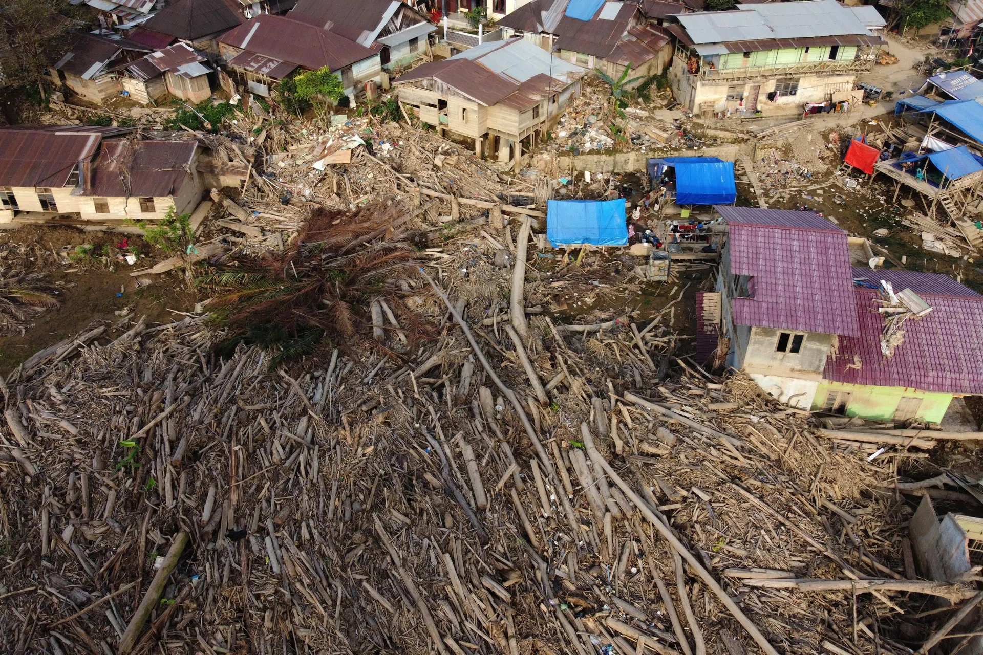 Adaptation financing to gain momentum in 2026: sustainability analysts